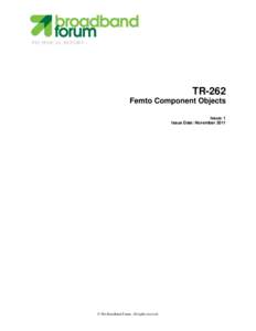 TECHNICAL REPORT  TR-262 Femto Component Objects Issue: 1 Issue Date: November 2011
