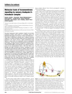 letters to nature .............................................................. Molecular basis of transmembrane signalling by sensory rhodopsin II– transducer complex