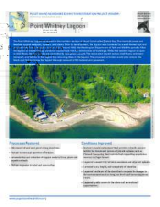 PUGET SOUND NEARSHORE ECOSYSTEM RESTORATION PROJECT (PSNERP) POTENTIAL RESTORATION SITES Point Whitney Lagoon  IMAGE: Washington State Department of Ecology (2006)