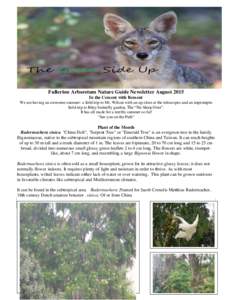 Fullerton Arboretum Nature Guide Newsletter August 2015 In the Cement with Bement We are having an awesome summer: a field trip to Mt. Wilson with an up close at the telescopes and an impromptu field trip to Riley butter