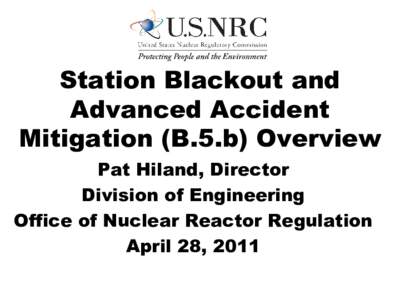 Station Blackout and Advanced Accident Mitigation (B.5.b) Overview Pat Hiland, Director Division of Engineering Office of Nuclear Reactor Regulation
