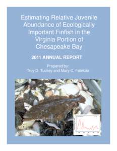 Estimating Relative Juvenile Abundance of Ecologically Important Finfish in the Virginia Portion of Chesapeake Bay 2011 ANNUAL REPORT