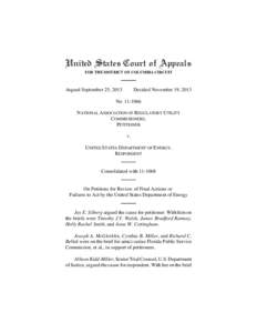 United States Court of Appeals FOR THE DISTRICT OF COLUMBIA CIRCUIT Argued September 25, 2013  Decided November 19, 2013