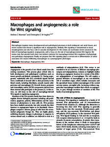 RhoB controls endothelial cell morphogenesis in part via negative regulation of RhoA