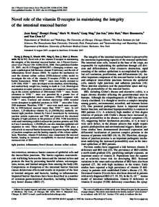 Am J Physiol Gastrointest Liver Physiol 294: G208–G216, 2008. First published October 25, 2007; doi:ajpgiNovel role of the vitamin D receptor in maintaining the integrity of the intestinal mucosal 