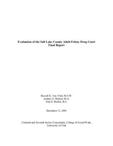 Evaluation of the Salt Lake County Adult Felony Drug Court