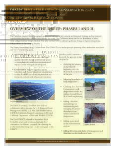 DESERT RENEWABLE ENERGY CONSERVATION PLAN PROPOSED LAND USE PLAN AMENDMENT AND FINAL ENVIRONMENTAL IMPACT STATEMENT OVERVIEW OF THE DRECP: PHASES I AND II The California desert is home to unique species and habitats, a r