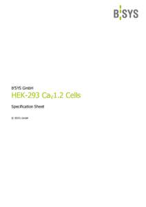B’SYS GmbH  HEK-293 CaV1.2 Cells Specification Sheet © B’SYS GmbH