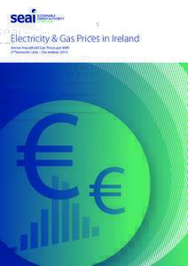 Electricity & Gas Prices in Ireland Annex Household Gas Prices per kWh 2ndSemester (July – December) 2014 ENERGY POLICY STATISTICAL SUPPORT UNIT