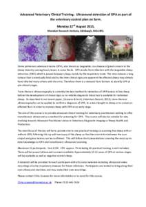 Advanced Veterinary Clinical Training: Ultrasound detection of OPA as part of the veterinary control plan on farm. Monday 22nd August 2015, Moredun Research Institute, Edinburgh, EH26 0PZ.  Ovine pulmonary adenocarcinoma