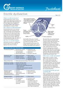 Factsheet	 Erectile dysfunction What is erectile dysfunction? Veins running through the outer sheath are compressed