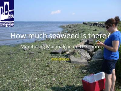 How much seaweed is there? Monitoring Macroalgae on the shore Lesley Lambert www.nbep.org  Macroalgae Monitoring