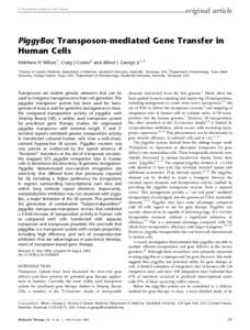 original article  & The American Society of Gene Therapy PiggyBac Transposon-mediated Gene Transfer in Human Cells