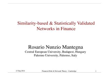Similarity-based & Statistically Validated Networks in Finance Rosario Nunzio Mantegna