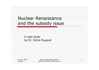 Nuclear Renaissance and the subsidy issue A case study by Dr. Dörte Fouquet  June 15, 2005