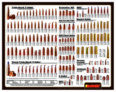 Bullet_Poster_2007-2:Layout[removed]:55 AM