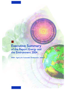 Executive Summary of the Report Energy and the Environment 2004 ENEA - Agency for Sustainable Development - Advisor  The Report on Energy and the Environment 2004, prepared by ENEA, is the result of a