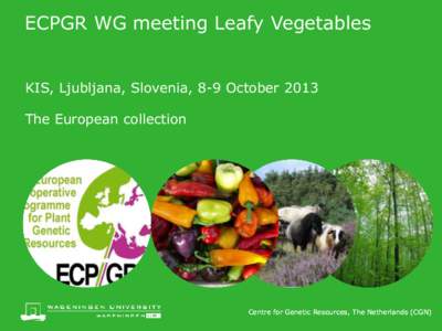 ECPGR WG meeting Leafy Vegetables KIS, Ljubljana, Slovenia, 8-9 October 2013 The European collection  Centre for Genetic Resources, The Netherlands (CGN)