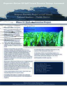 Deepwater Horizon Oil Spill Natural Resource Damage Assessment  Seagrass Recovery Project at Gulf Islands National Seashore – Florida District Phase IV Early Restoration Project PROJECT DESCRIPTION