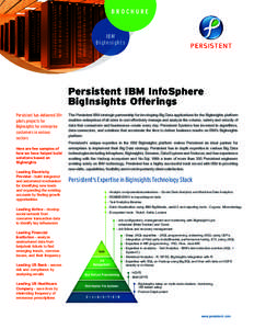 BROCHURE  IBM Bi g I n s i g h t s  Persistent IBM InfoSphere