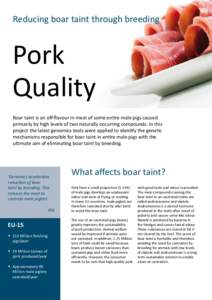 Reducing boar taint through breeding  Pork Quality Boar taint is an off-flavour in meat of some entire male pigs caused primarily by high levels of two naturally occurring compounds. In this