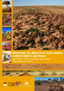 MANAGING THE IMPACTS OF FERAL CAMELS ACROSS REMOTE AUSTRALIA: Final Report of the Australian Feral Camel Management Project  Australian