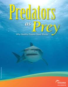 Predators as Prey  Photo © Rob Stewart/ Sharkwater