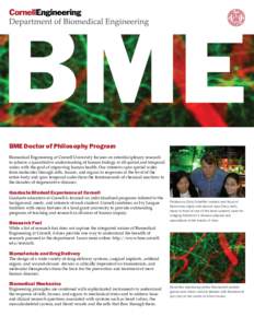 BME BME Doctor of Philosophy Program Biomedical Engineering at Cornell University focuses on interdisciplinary research to achieve a quantitative understanding of human biology at all spatial and temporal scales with the