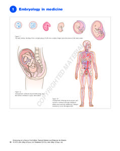 1  Embryology in medicine PY R