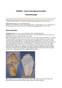 NOBANIS – Invasive Alien Species Fact Sheet Crassostrea gigas Author of this species fact sheet: Stefan Nehring, Federal Agency for Nature Conservation, Konstantinstraße 110, 53179 Bonn, Germany, Phone: +