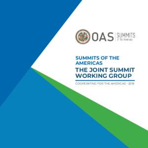 SUMMITS OF THE AMERICAS THE JOINT SUMMIT WORKING GROUP COOPERATING FOR THE AMERICAS