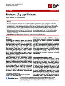 Spliceosome / Gene expression / RNA / Ribozymes / Group II intron / Intron / Group III intron / Group I catalytic intron / Twintron / Genetics / Biology / RNA splicing