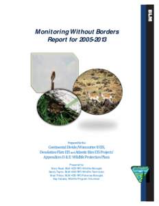 Monitoring Without Borders Report for[removed]Continental Divide/Wamsutter II EIS, Desolation Flats EIS and Atlantic Rim EIS Projects’ Appendices D & E: Wildlife Protection Plans