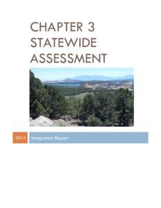 Chapter 3 Statewide Assessment