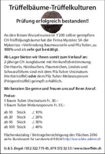 Trüffelbäume-Trüffelkulturen Prüfung erfolgreich bestanden!! An den feinen Wurzeln unserer 1’200 selber geimpften CH-Trüffeljungbäume hat die Firma Mycotec SA die Mykorriza =Verbindung Baumwurzeln und Pilz Tuber,