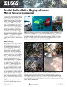 Detailed Seafloor Habitat Mapping to Enhance Marine-Resource Management Pictures of the seafloor capture important information about the sediments, exposed geologic features, submerged aquatic vegetation, and animals fou