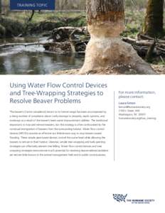 TRAINING TOPIC  Using Water Flow Control Devices and Tree-Wrapping Strategies to Resolve Beaver Problems The beaver’s (Castor canadensis) return to its former range has been accompanied by