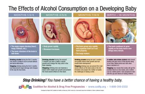 The Effects of Alcohol Consumption on a Developing Baby M onth sM onth sMonth s