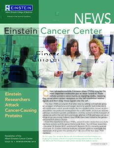 NEWS  Science at the heart of medicine Einstein Cancer Center