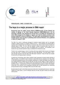 PRESS RELEASE I PARIS I 03 AUGUSTThe keys to a major process in DNA repair Researchers from the Institut Jacques Monod (CNRS/University of Paris Diderot), the Institute of Biology of the Ecole Normale Supérieure 