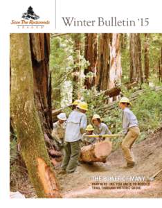 Winter Bulletin ’15  THE Power of Many partners Like You unite to rebuild trail through historic grove