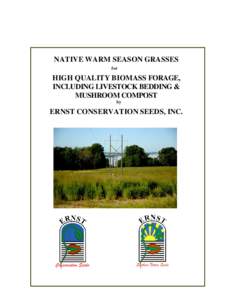 NATIVE WARM SEASON GRASSES for HIGH QUALITY BIOMASS FORAGE, INCLUDING LIVESTOCK BEDDING & MUSHROOM COMPOST