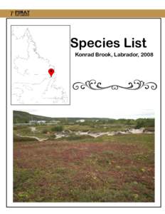 Species List Konrad Brook, Labrador, 2008 Species List, Konrad Brook Pond, Labrador, 2008 Alnicola tantilla Alpova cinnamomeus