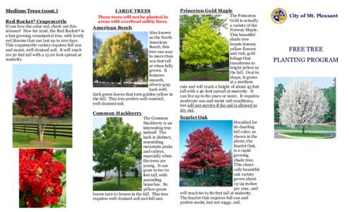 Medium Trees (cont.) Red Rocket® Crapemyrtle  If you love the color red, check out this