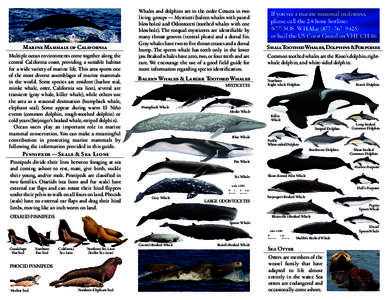 Marine Mammals of California Multiple ocean environments come together along the central California coast, providing a suitable habitat for a wide variety of marine life. This area sports one of the most diverse assembla
