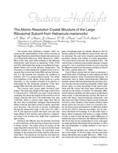 Feature Highlight The Atomic Resolution Crystal Structure of the Large Ribosomal Subunit from Haloarcula marismortui N. Ban1, P. Nissen1, J. Hansen1, P. B. Moore1,2 and T.A. Steitz1,2,3 Department of Molecular Biophysics