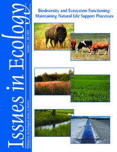 Published by the Ecological Society of America  Number 4, Fall 1999 Issues in Ecology Biodiversity and Ecosystem Functioning: