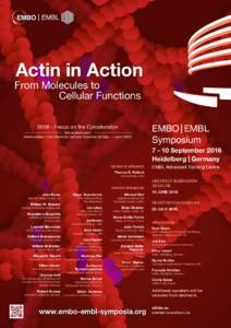 Actin in Action  From Molecules to Cellular FunctionsFocus on the Cytoskeleton See related event: