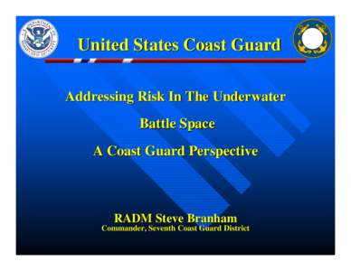 Public safety / Military organization / Underwater Port Security System / Maritime Safety and Security Team / Port security / Computer security / Vulnerability / United States Coast Guard / Deployable Operations Group / Security