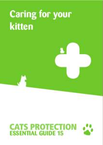 Caring for your kitten ESSENTIAL GUIDE 15  Kittens are adorable, fun and unique, but it is important to